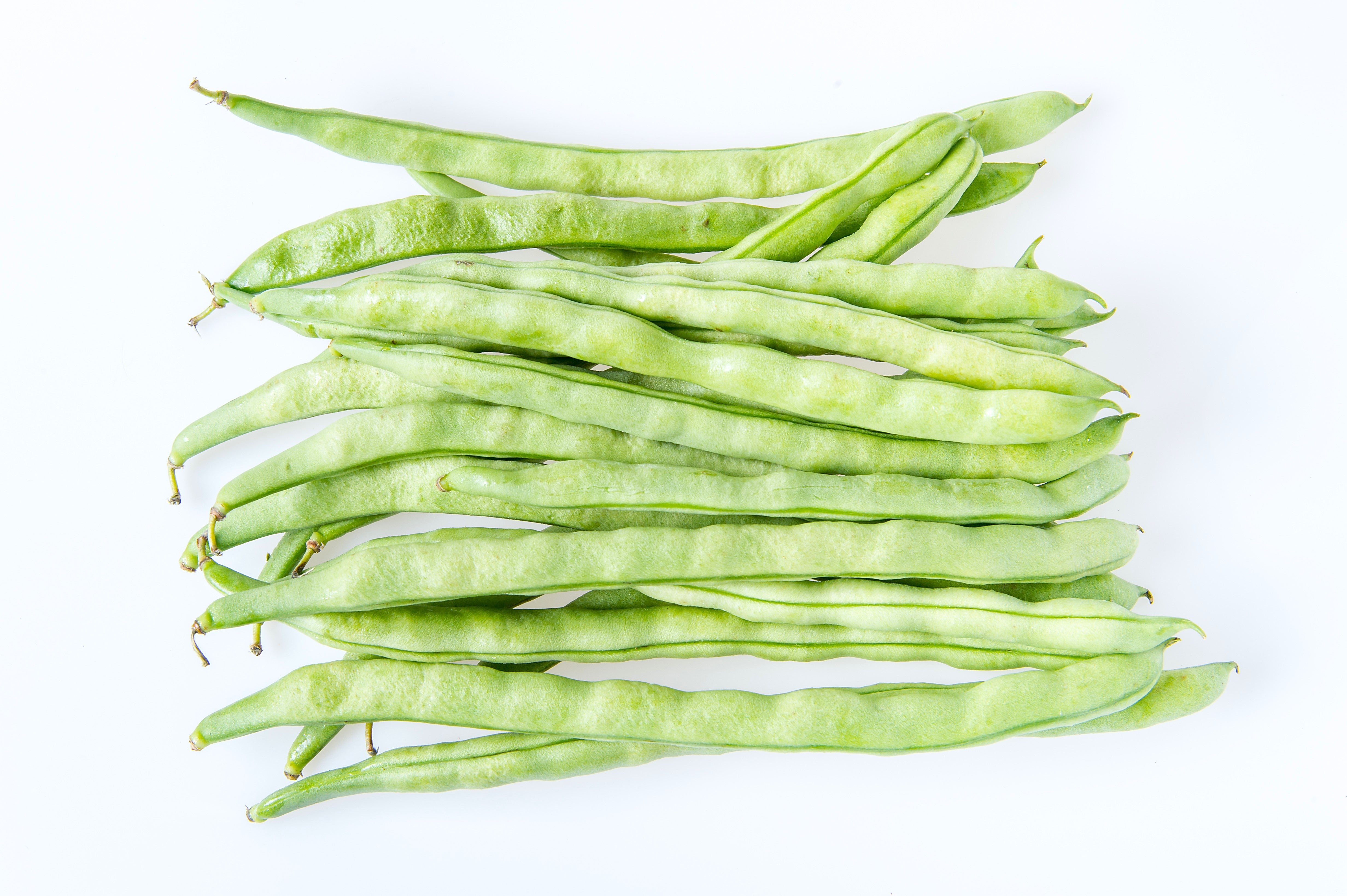 50 KENTUCKY WONDER Pole BEAN Phaseolus Vulgaris Vegetable Seeds