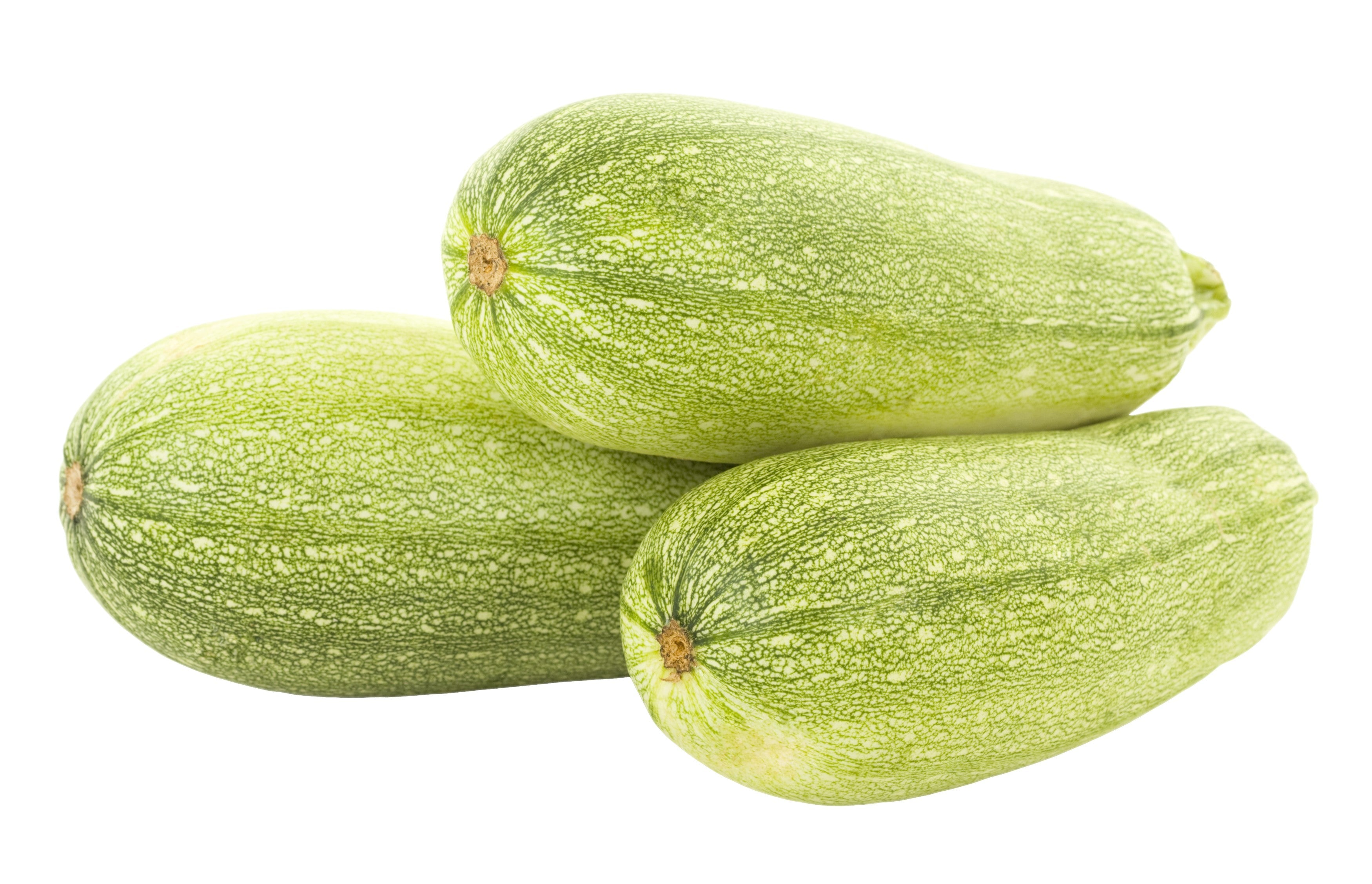 30 GRAY ZUCCHINI Heirloom Summer Bush Squash Cucurbita Pepo Vegetable Seeds