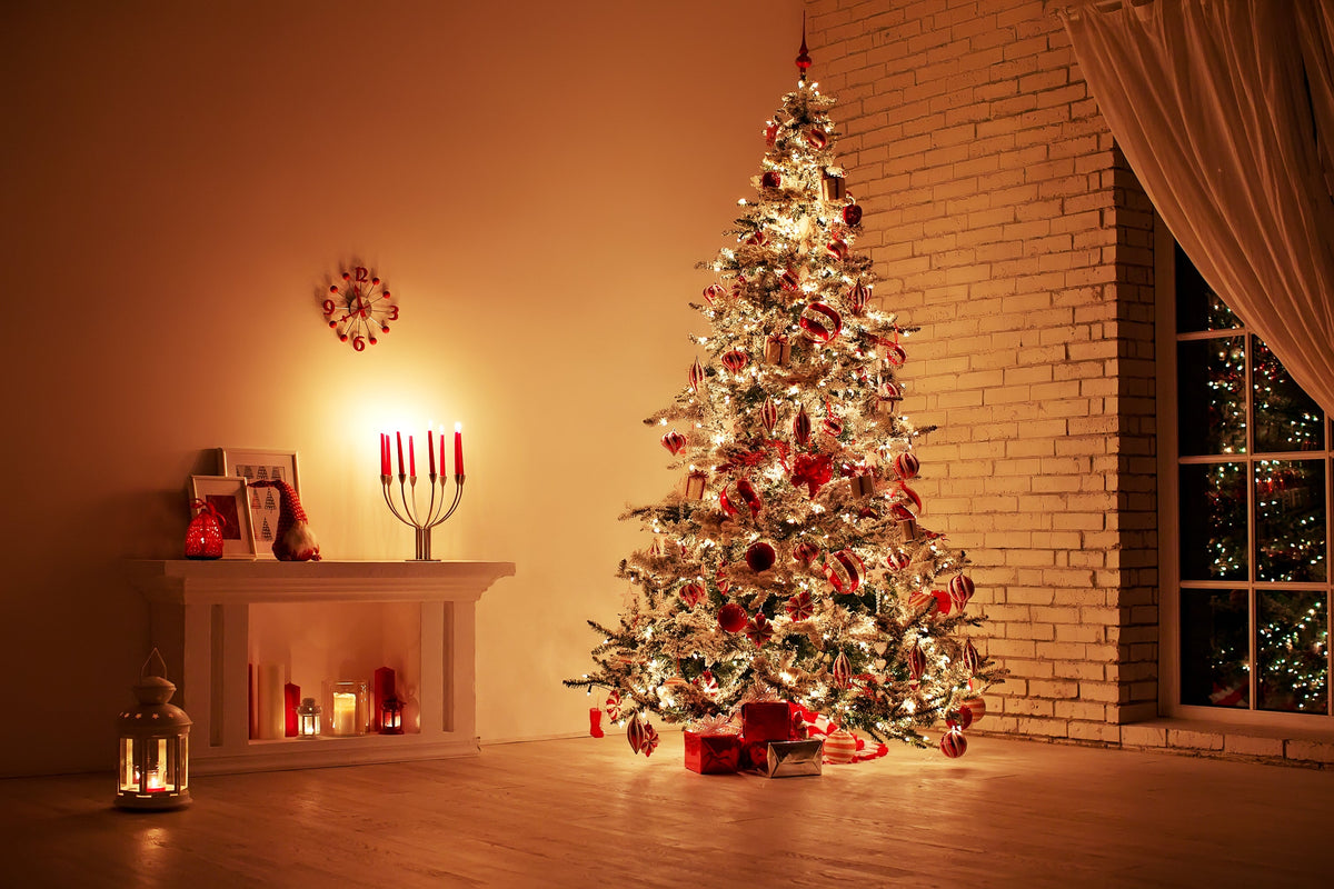 Grow Your Own CHRISTMAS TREE COLLECTION - 4 Gift Packets of Tree Seeds - Fraser Fir, Balsam Fir, Douglas Fir, & Blue Spruce + Free Gift Bag
