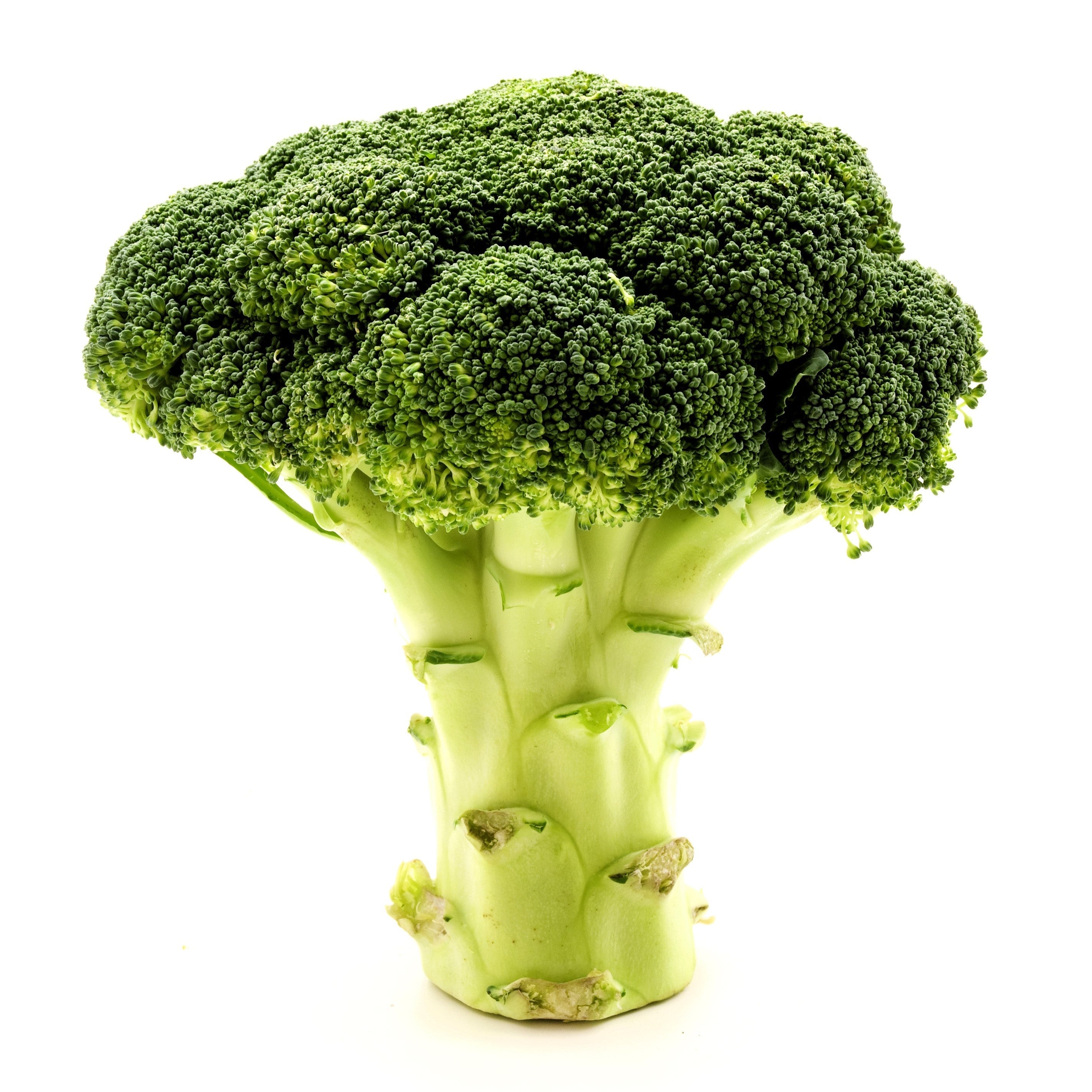 1000 CALABRESE BROCCOLI ITALIAN Green Sprouting Vegetable Brassica Seeds