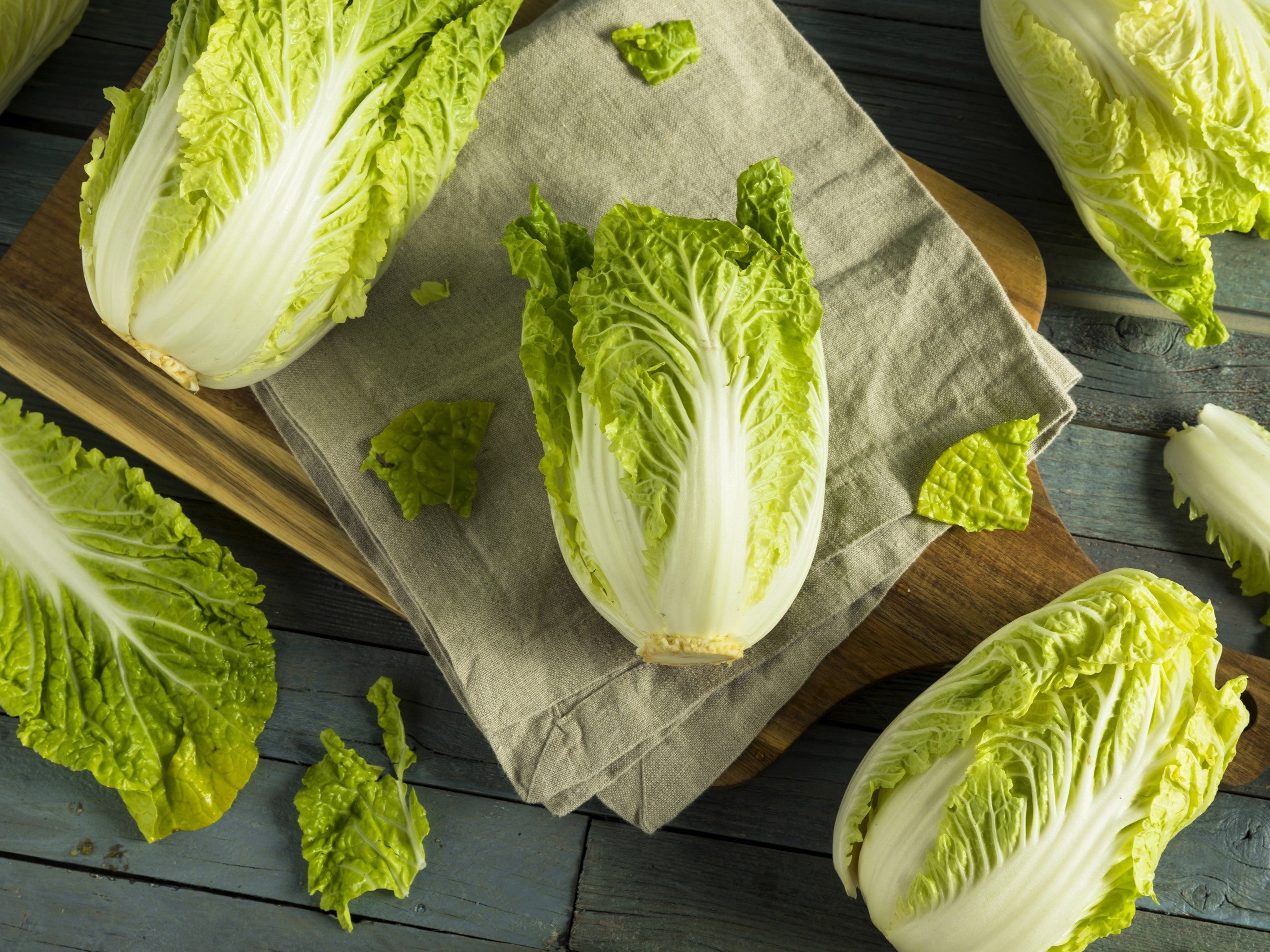 500 MICHIHILI CABBAGE (Chinese Cabbage / Bok Choy / Pak Choi / Celery Mustard / Chinese Chard) Brassica Rapa Chinensis Vegetable Seeds