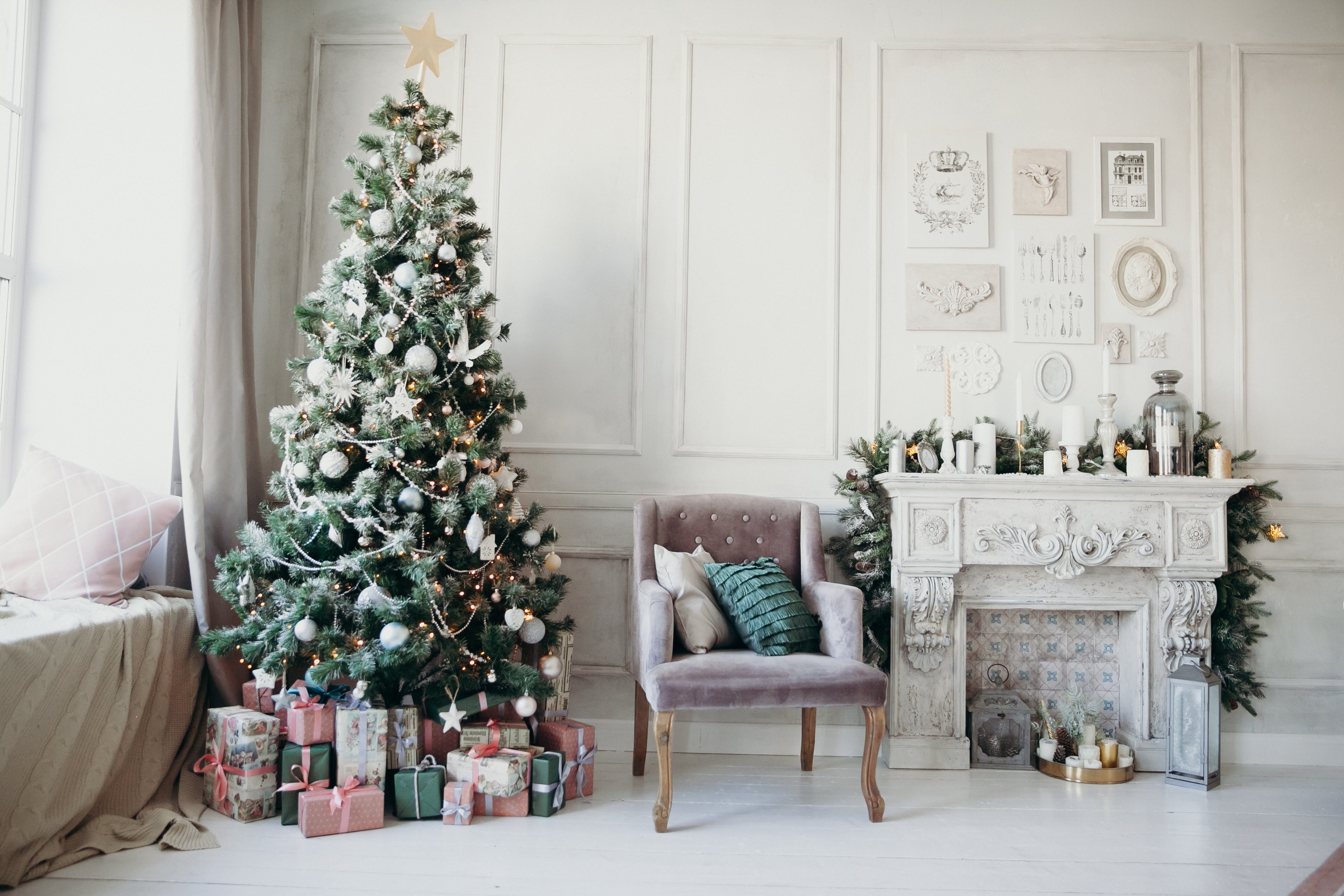Grow Your Own CHRISTMAS TREE COLLECTION - 4 Gift Packets of Tree Seeds - Fraser Fir, Balsam Fir, Douglas Fir, & Blue Spruce + Free Gift Bag