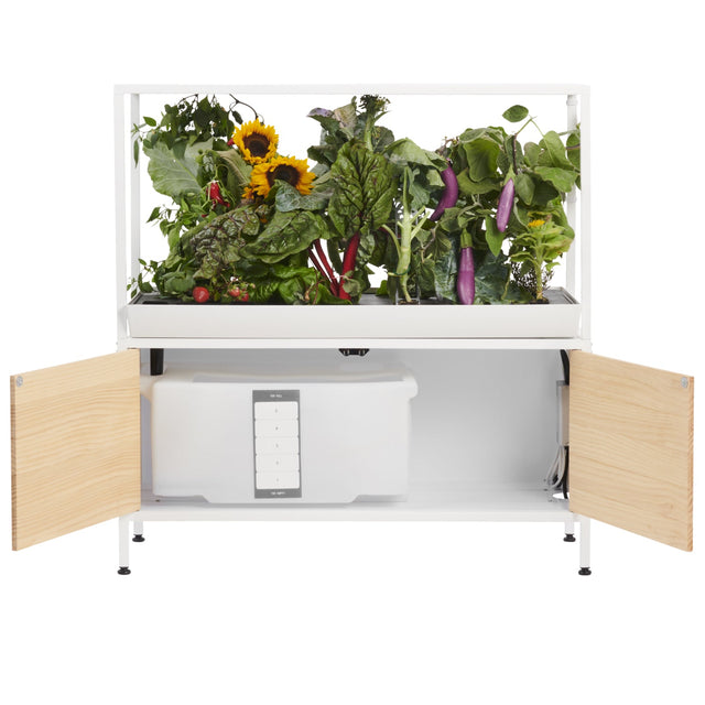The Rise Garden 3