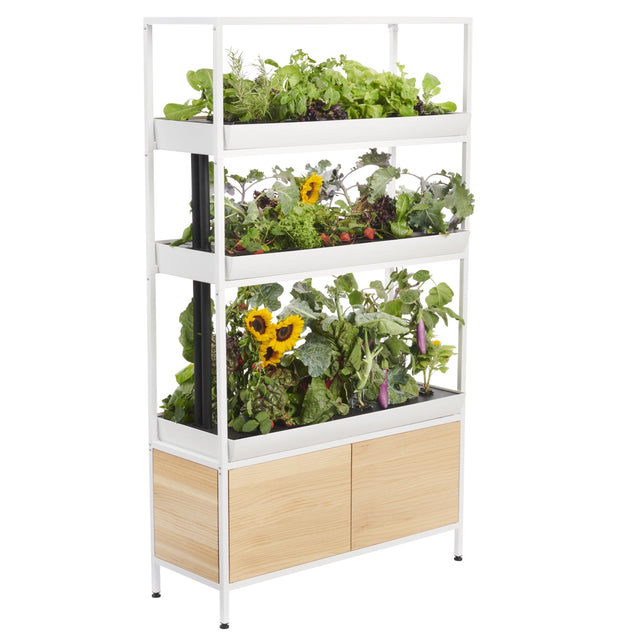 The Rise Garden 3
