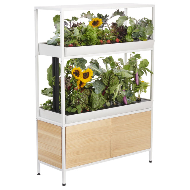 The Rise Garden 3