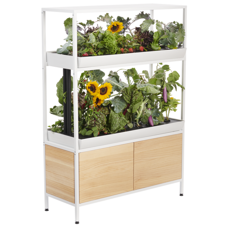 The Rise Garden 3