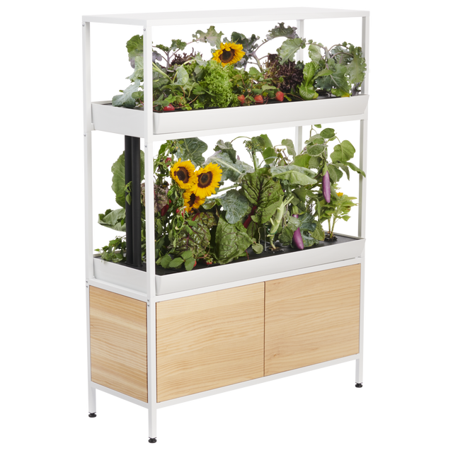The Rise Garden 3