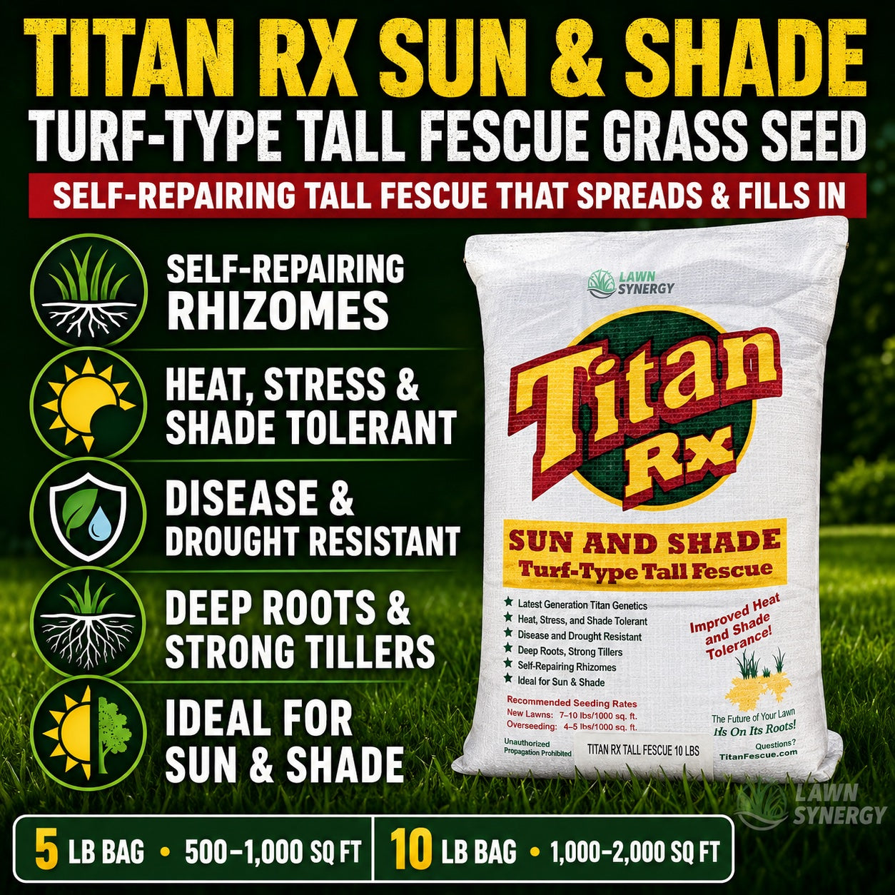 Titan RX Sun and Shade Turf-Type Tall Fescue Grass Seed