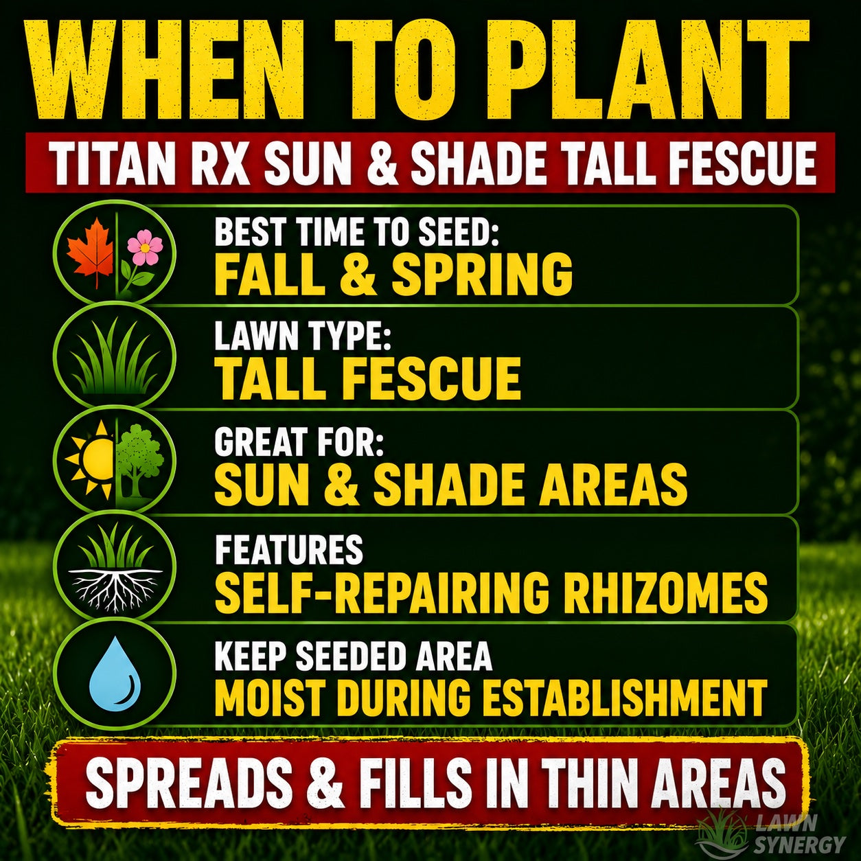 Titan RX Sun and Shade Turf-Type Tall Fescue Grass Seed