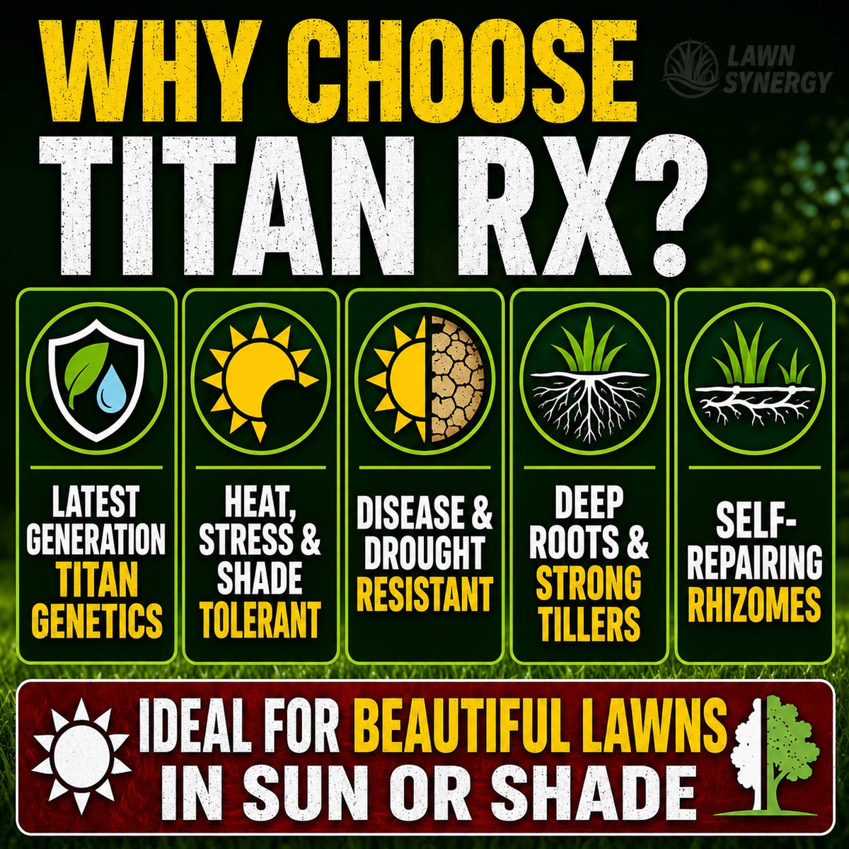 Titan RX Sun and Shade Turf-Type Tall Fescue Grass Seed