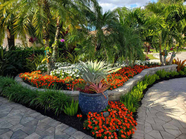 Palm Tree Fertilizer & Tropicals Mix: 8-10-10 25% Slow Plus Micros