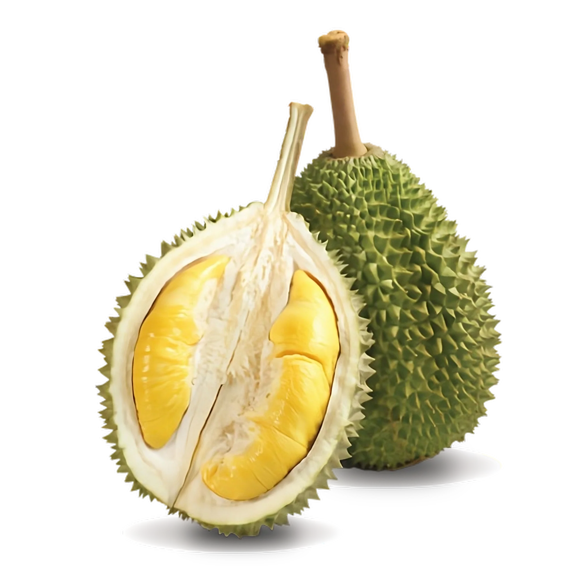 Premium Musang King Durian (Whole Fruit 4-5lbs)