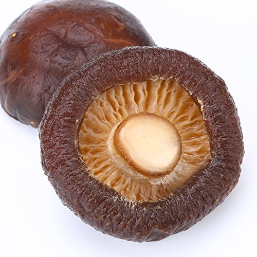 Dried Mushrooms 5 Pound 80 oz
